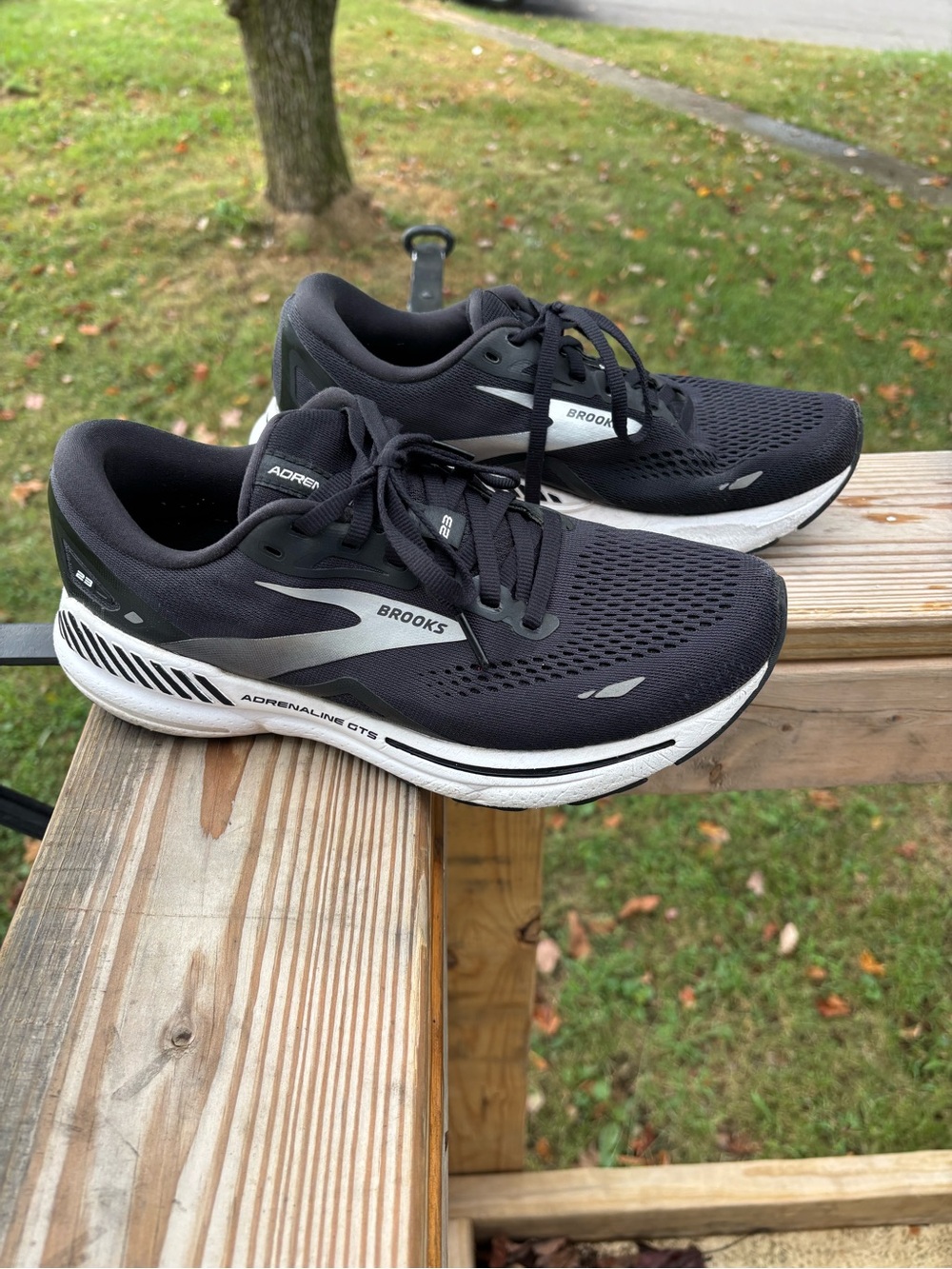 Brooks Adrenaline GTS 23 Women’s 8.5